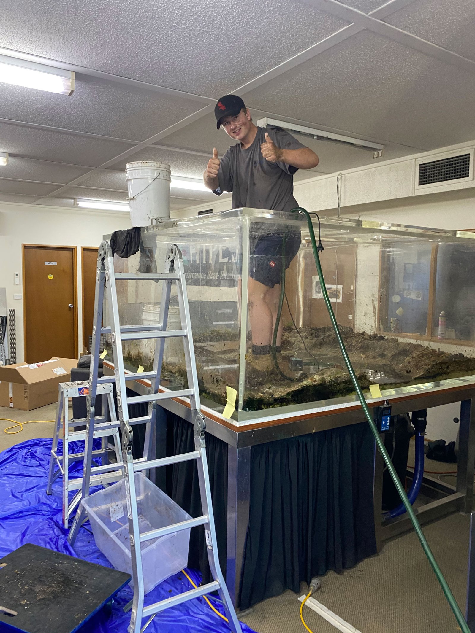 Image showcasing Looking for an aquarium maintenance in Melbourne?